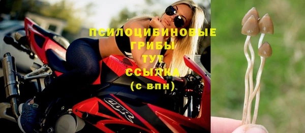 а пвп мука Богородицк