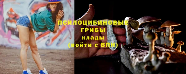 гидра Богородск