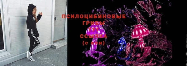 гидра Богородск