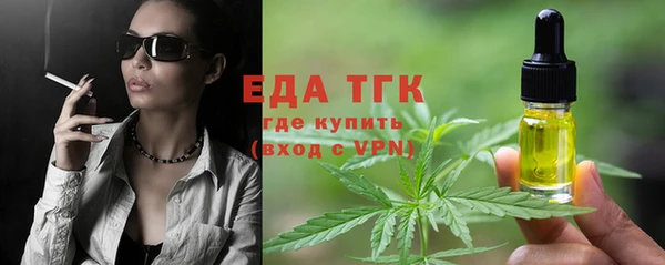 гидра Богородск