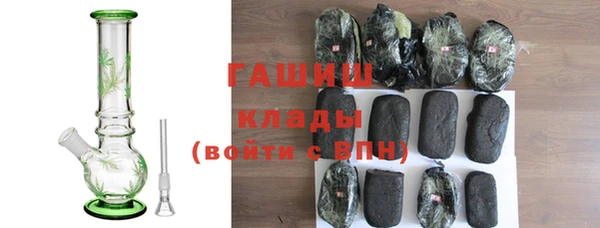 гидра Богородск