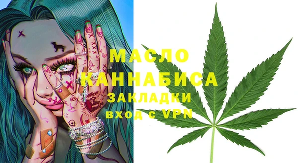 гидра Богородск