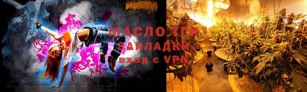гидра Богородск