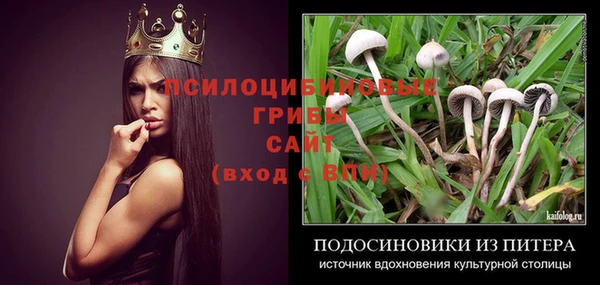 мескалин Богданович