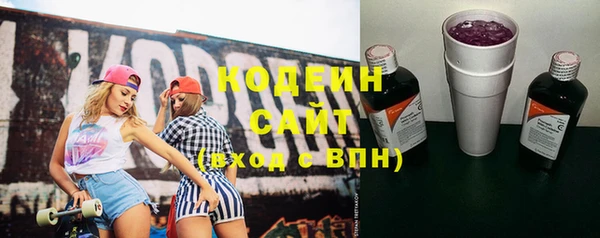 гидра Богородск