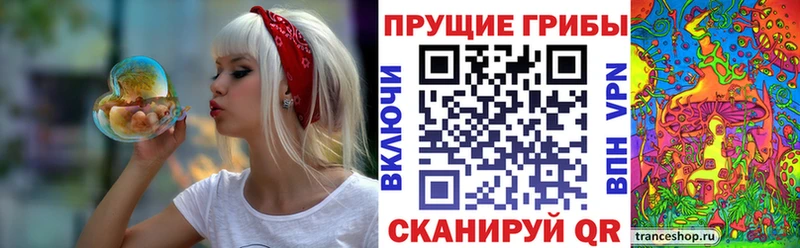 Псилоцибиновые грибы мухоморы  Медногорск 